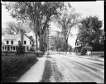 Houses Along A Street In Kezar Falls by George French