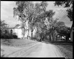 Church On A Tree Lined Road In Limington by George French