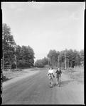 Two Women Bicycling Down A Gravel Road In Limington by George French