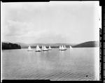 Fleet Of Small Sailboats On Kezar Lake by George French