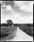 Long Gravel Drive Leading Down To A Home Near A Pond In Oxford, Mountains In Distance by George French