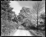 A Country Road In Parsonsfield by George French
