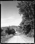 Tree Lined Road Through Countryside Of Sebago by George French