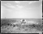 Worker Using A Tractor To Spray Potato Fields In Presque Isle by George French