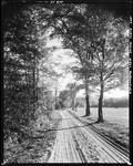 Narrow Dirt Road Leading Toward A House In The Distance In West Brownfield by George French