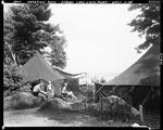 Camping At Sebago Lake State Park, Using Canvas Tents by George French