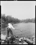 Man Standing On Shore Netting Fish At Middle Dam by George French