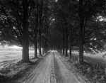 Tree Lined Gravel Road In Bridgton by George French