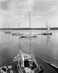 Yachts Anchored In East Boothbay Harbor by George French
