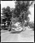 Gravel Road Through Town Of East Harpswell by George French