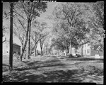 Houses Along A Tree Lined Street In East Parsonsfield by George French