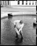Man Putting A Large Fish Into A Fish Hatchery At Dry Mills by George French