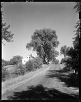 House With Nice Shade Trees Beside A Road In Hiram by George French