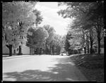 Houses Along A Tree Lined Street In Houlton by George French