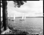 Four Small Sailboats On Damariscotta Lake In Jefferson by George French