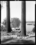 Nice View Of Lake Kezar Framed By Two Tall Trees by George French