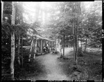Group Of People On Porch Of A Camp Situated In A Stand Of Birches At Moosehead Lake by George French