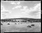 Hay Stacks In A Field With Rolling Hills In Background In Newfield by George French