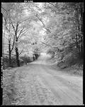 A Country Road And Fall Foliage In Newfield by George French
