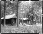 Cabins In The Woods At Cliffwood Camps In North Lovell by George French