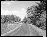 Gravel Road Through Woods In Parsonsfield by George French