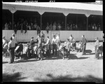 Contestants With Livestock At Fryeburg Fair by George French