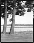 Two Large Pine Trees In Foreground On Shore Of A Lake In Waterford by George French