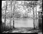 View Of Shin Pond Framed By Birches by George French