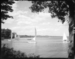 Small Sailboats Under Sail On Damariscotta Lake In Jefferson by George French