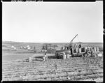 Workers Loading Barrels Full Of Potatoes Onto A Truck In Presque Isle, Farm Buildings In Distance by George French