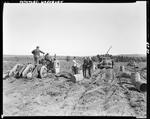 Workers Digging Potatoes With A Tractor While Others Harvest And Load Full Barrels Onto A Truck In Washburn by George French