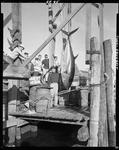 Group Of Fishermen Admiring A Tuna Hung Up For Weighing In Ogunquit by George French