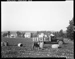 Workers Unloading Empty Barrels From A Truck On A Potato Field In Presque Isle by George French