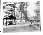 Family Cookouts At A Picnic Area In Woods Pond by George French