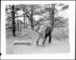 Deer Hunters Dragging Out A Ten Point Buck by George French