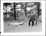 Two Hunters Dragging A Deer Out Of The Woods by George French