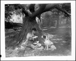 Hunter And Dog Sitting Under A Tree by George French