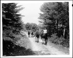 Group Of Riders On A Woods Road by George French