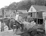 Fisherman Sitting On Dock Repairing Fish Net At New Harbor by George French