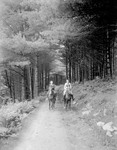 Man And Woman Horseback Riding Down Woods Road by George French