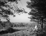 Man Sitting On A Hill Overlooking Bay At Damariscotta by George French