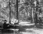 People Eating A Picnic Lunch In A Wooded Picnic Area In Raymond by George French