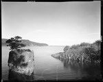 Large Rock With Tree Growing On Top In Foreground Of A Cove On The Coast by George French