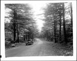 Gravel Road Through Woods In Fryeburg by George French