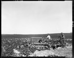 Farmer Working Potato Field With A Tractor by George French