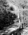 Gravel Road Leading To Little Sebago by George French