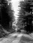 Car Parked On A Woods Road by George French