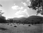 Haystacks In A Field With Mountains In Distance by George French