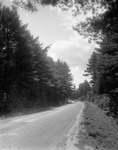 Gravel Road Through Woods Near Lovell by George French