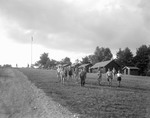 Campers Walking In Front Of Camps by George French